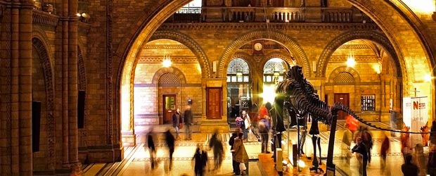 National History Museum (Museo di Storia Naturale)