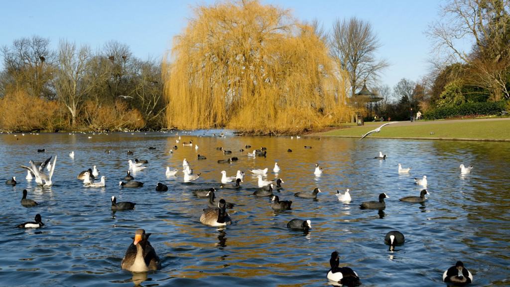 Regent's Park, uno dei parchi più belli di Londra