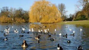 Regent's Park, tra i parchi più belli di Londra