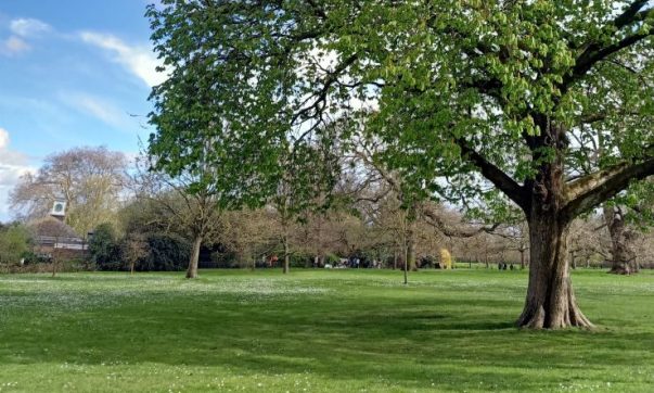 Parchi Reali di Londra: Hyde Park