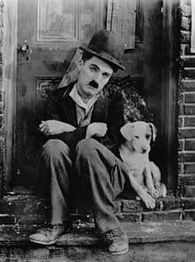 220px-Chaplin_A_Dogs_Life