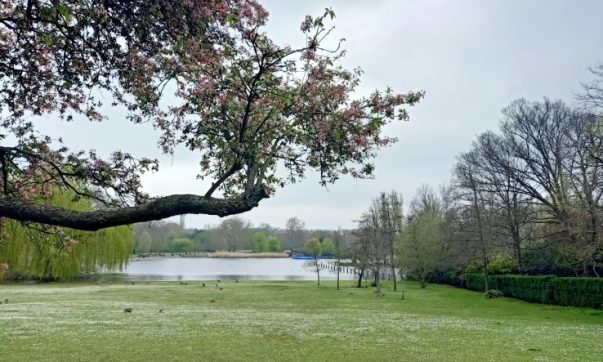 Visitare i parchi di Londra: Regent's Park