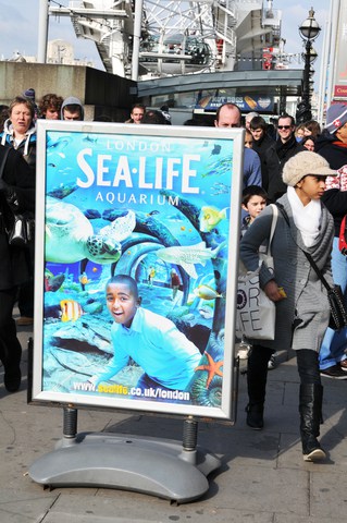 Visitare il London Sea Life