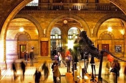 Il Natural History Museum