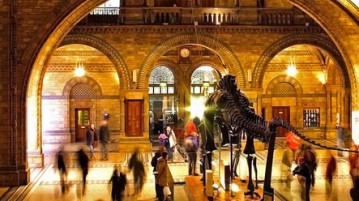 Il Natural History Museum