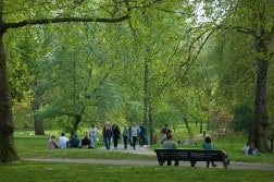 Green pPark, il più piccolo dei parchi di Londra