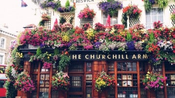 The Curchill Arms, uno dei più bei pubs di Londra